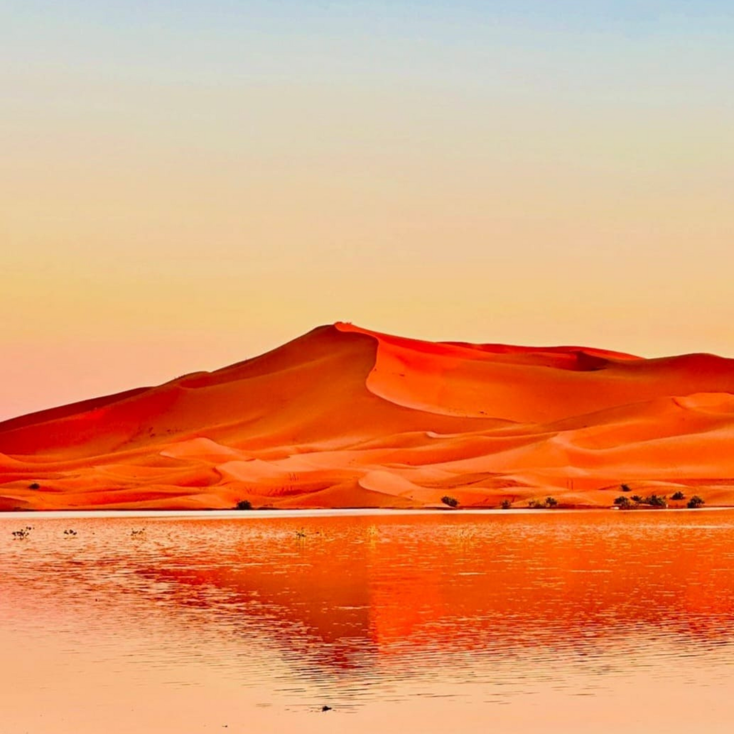 Stage de Yoga et Barre au Sol au Maroc - Février