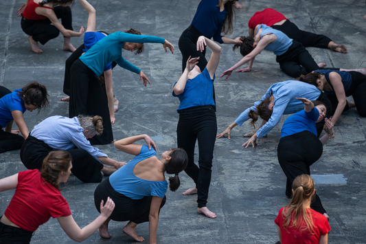 Carte de 20 cours - Danse Contemporaine et/ou Barre au Sol