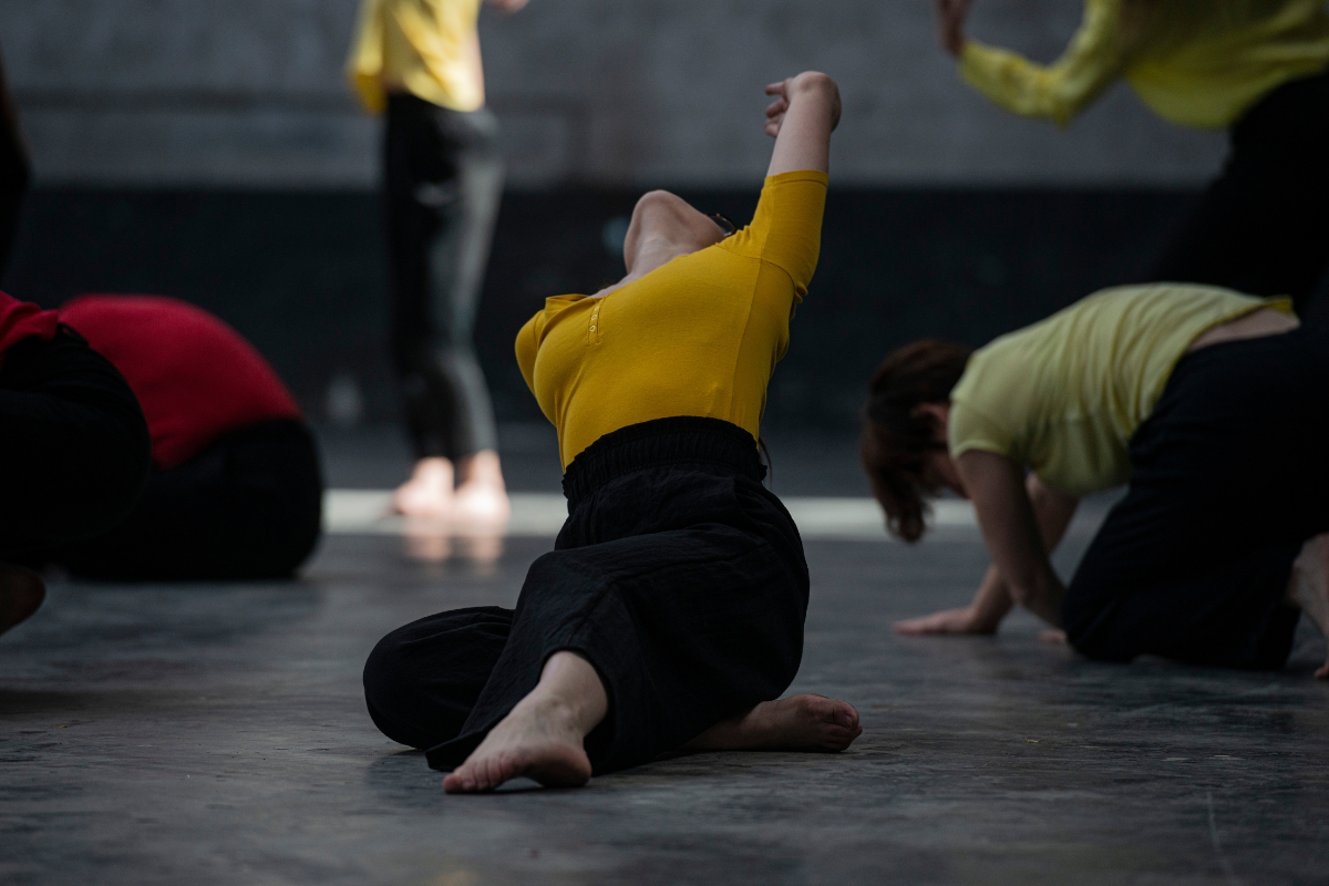 Carte de 10 cours - Danse Contemporaine et/ou Barre au Sol